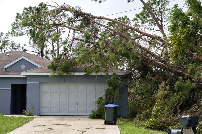 Tree Blocking Road