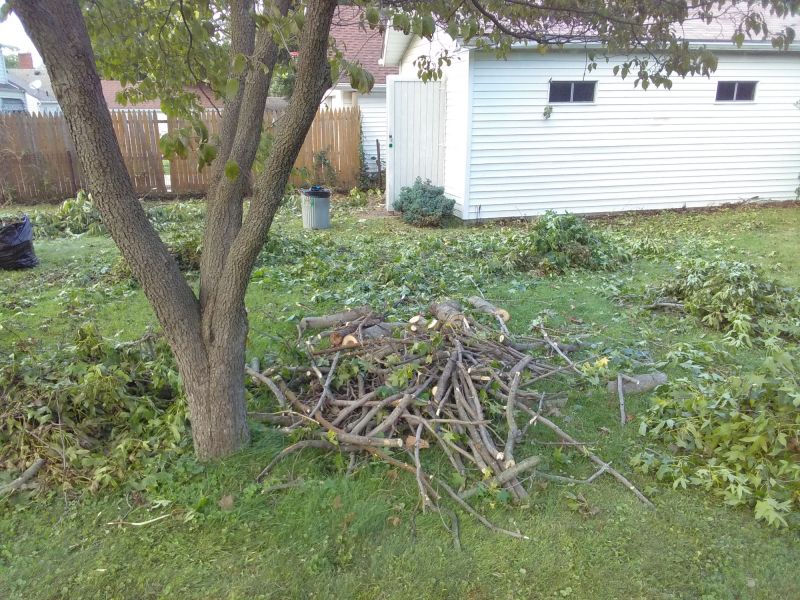 Yard Cleanup After Fall