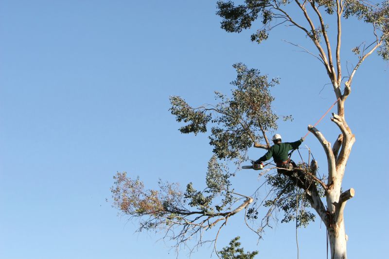 Safety Tree Pruning
